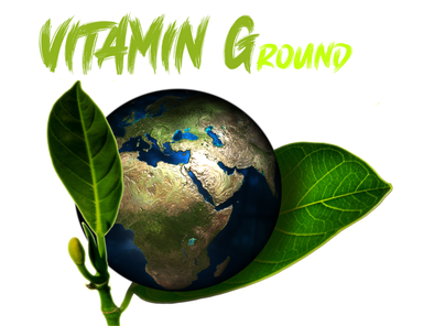 Qu’est-ce que la (re)connexion à la terre ?